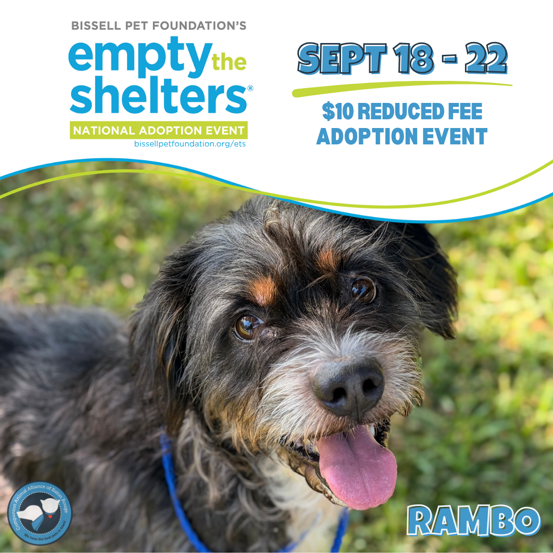 Empty the Shelters 