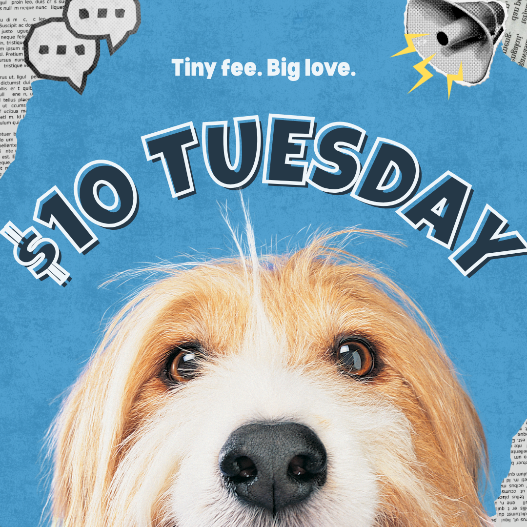 $10 Tuesday