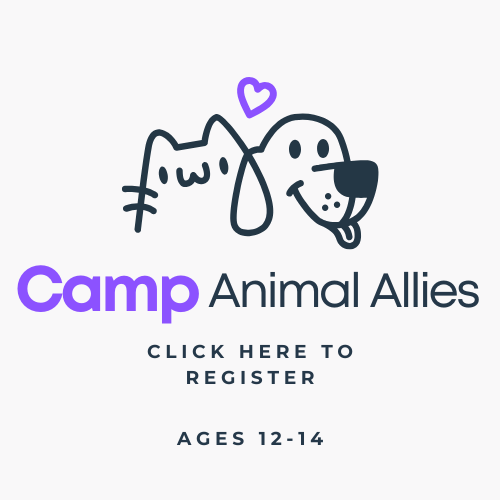 Camp Animal Allies.png