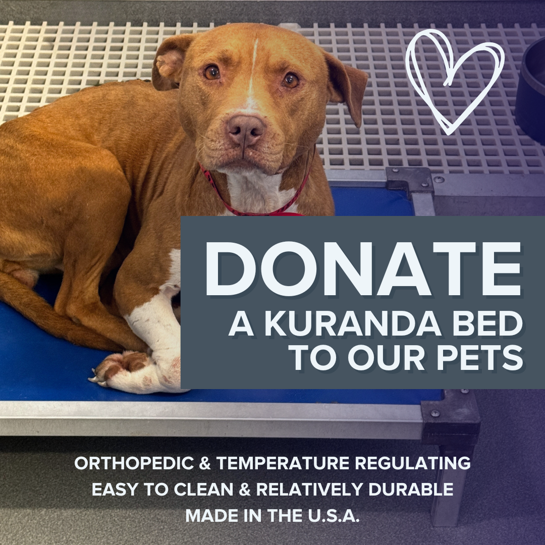 Companion Animal Alliance