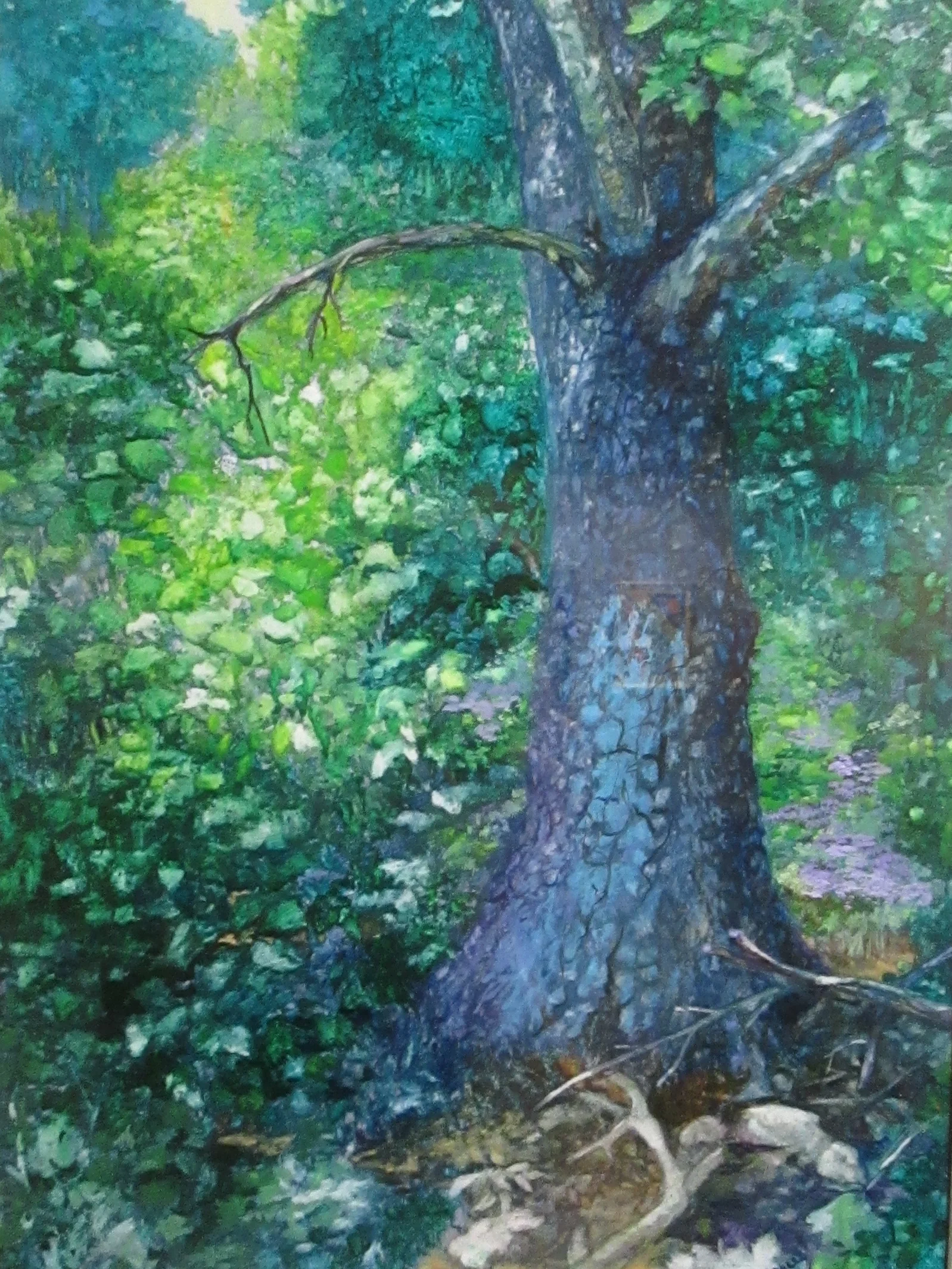 LINDA ASMUS  wc  Old Friend at Olana.JPG