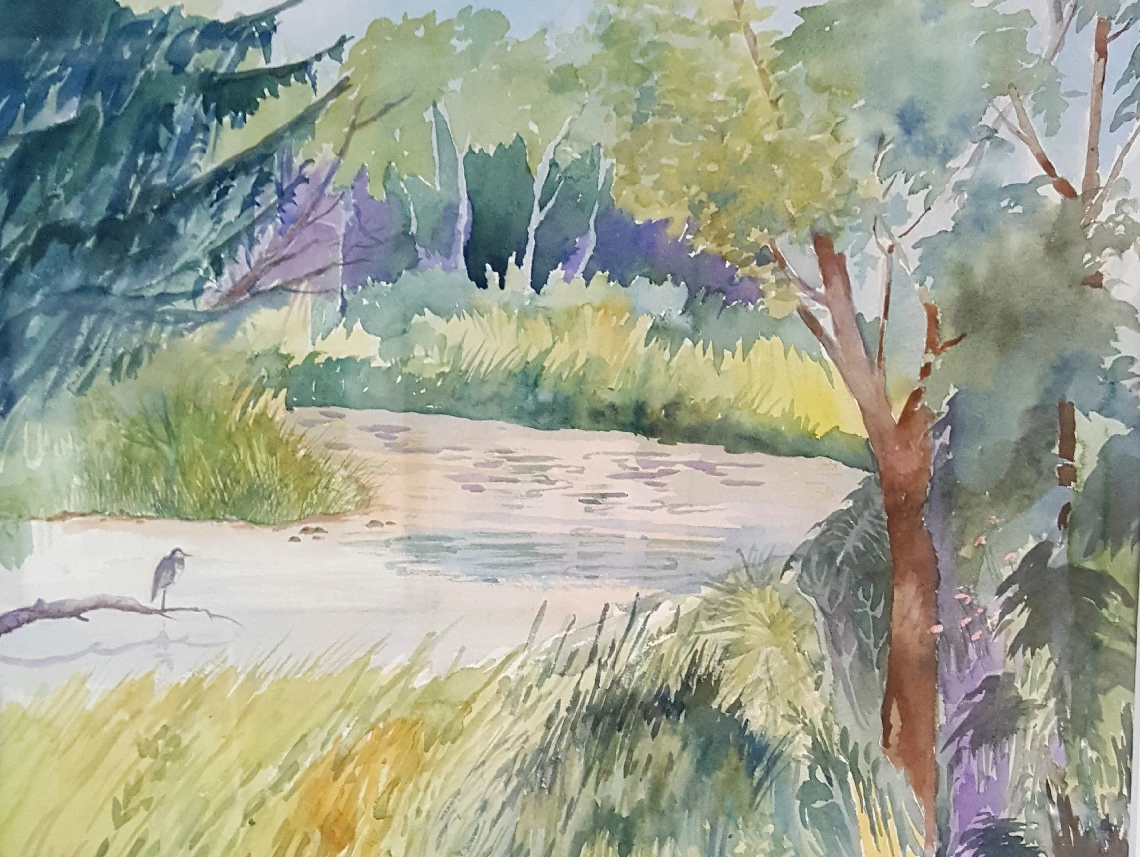 5 Rivers Heron, watercolor