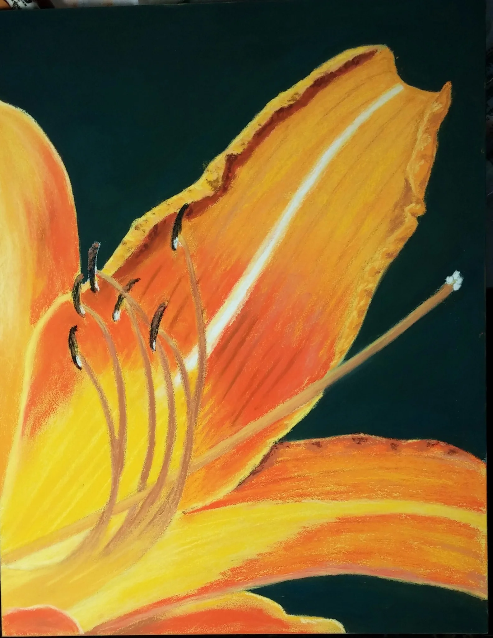 Day Lily
