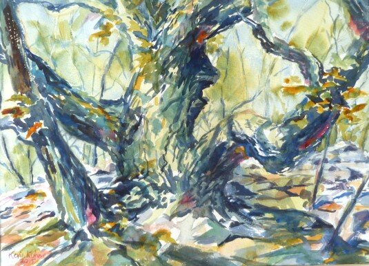Watercolor of Bennet Hill White Oak