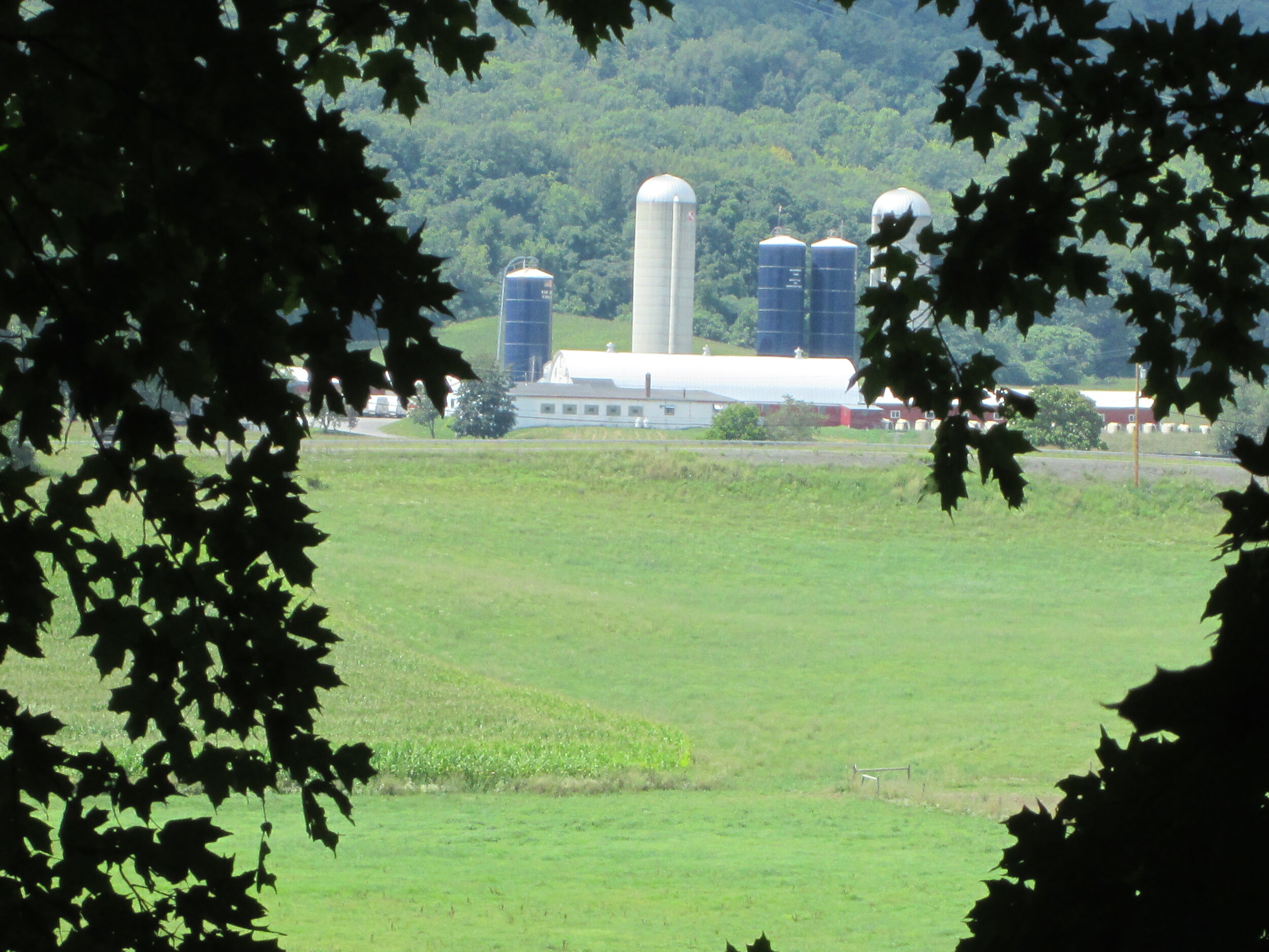 Clarksville Dairy from Bennett Hill