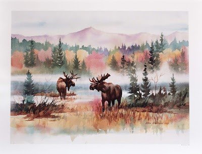 Adirondack Moose