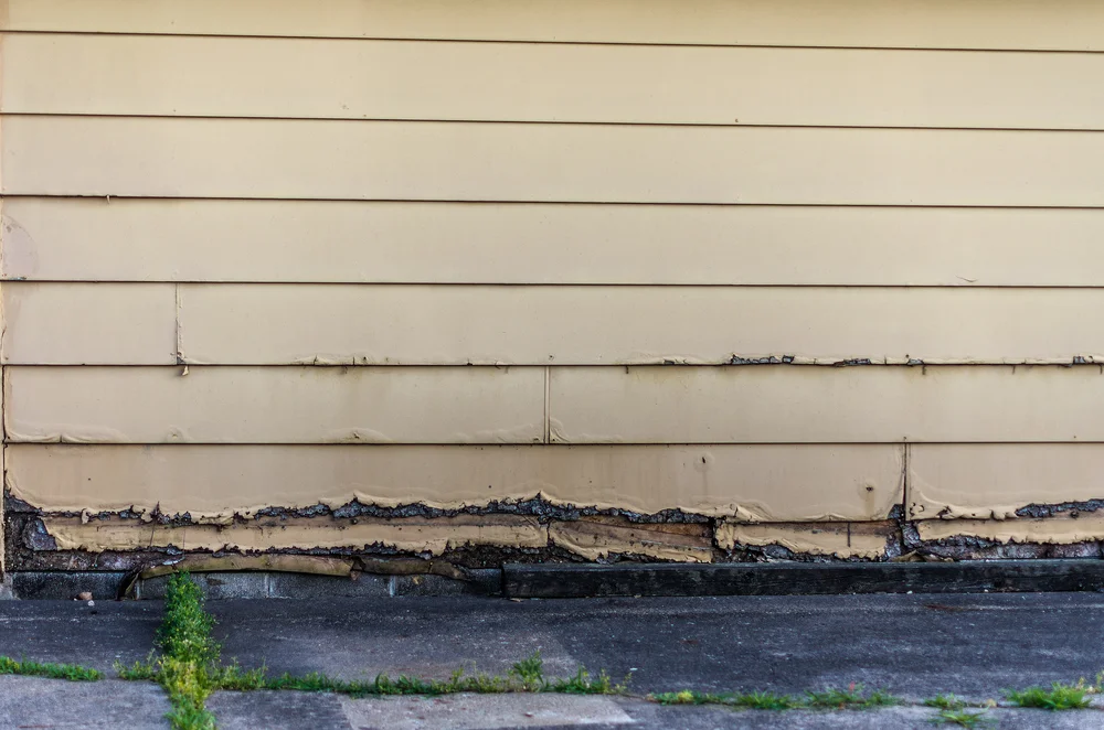 Damaged Wall Siding