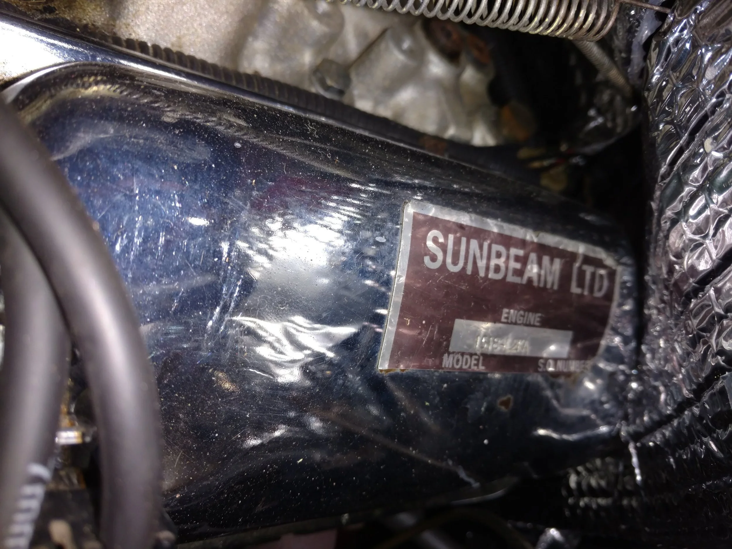 5-Sunbean-Tiger.jpg