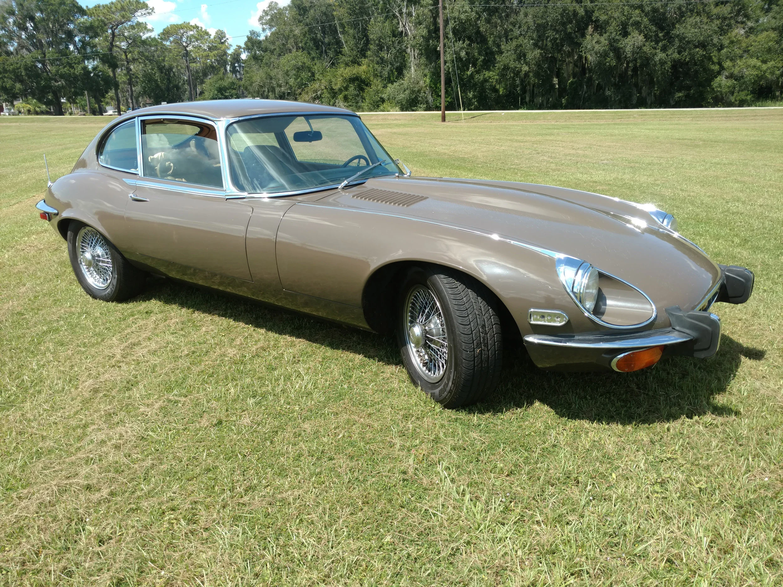 107-E-Type-Jaguar-2+2.jpg