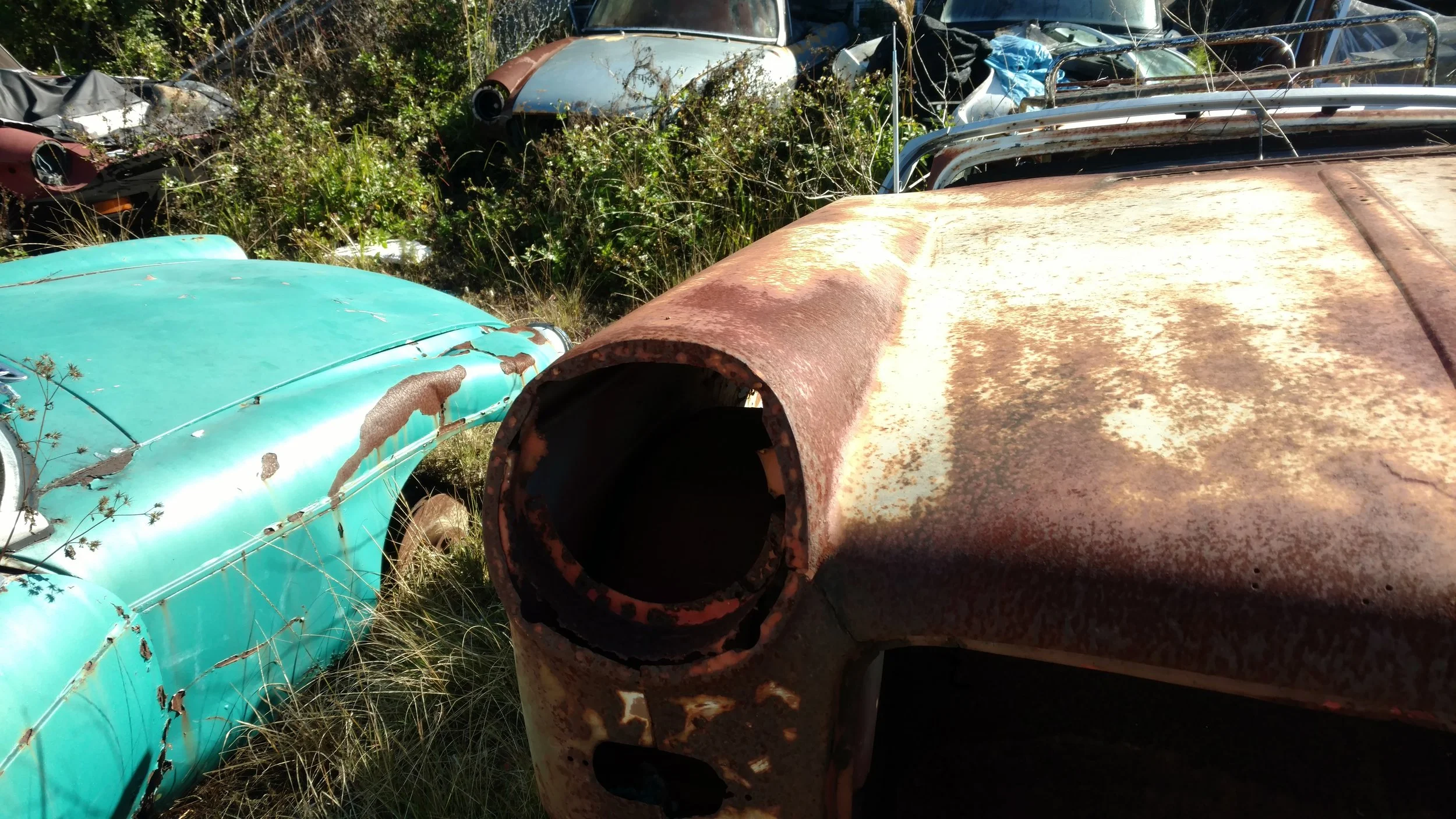 2019-01-17 10.21.46.jpg