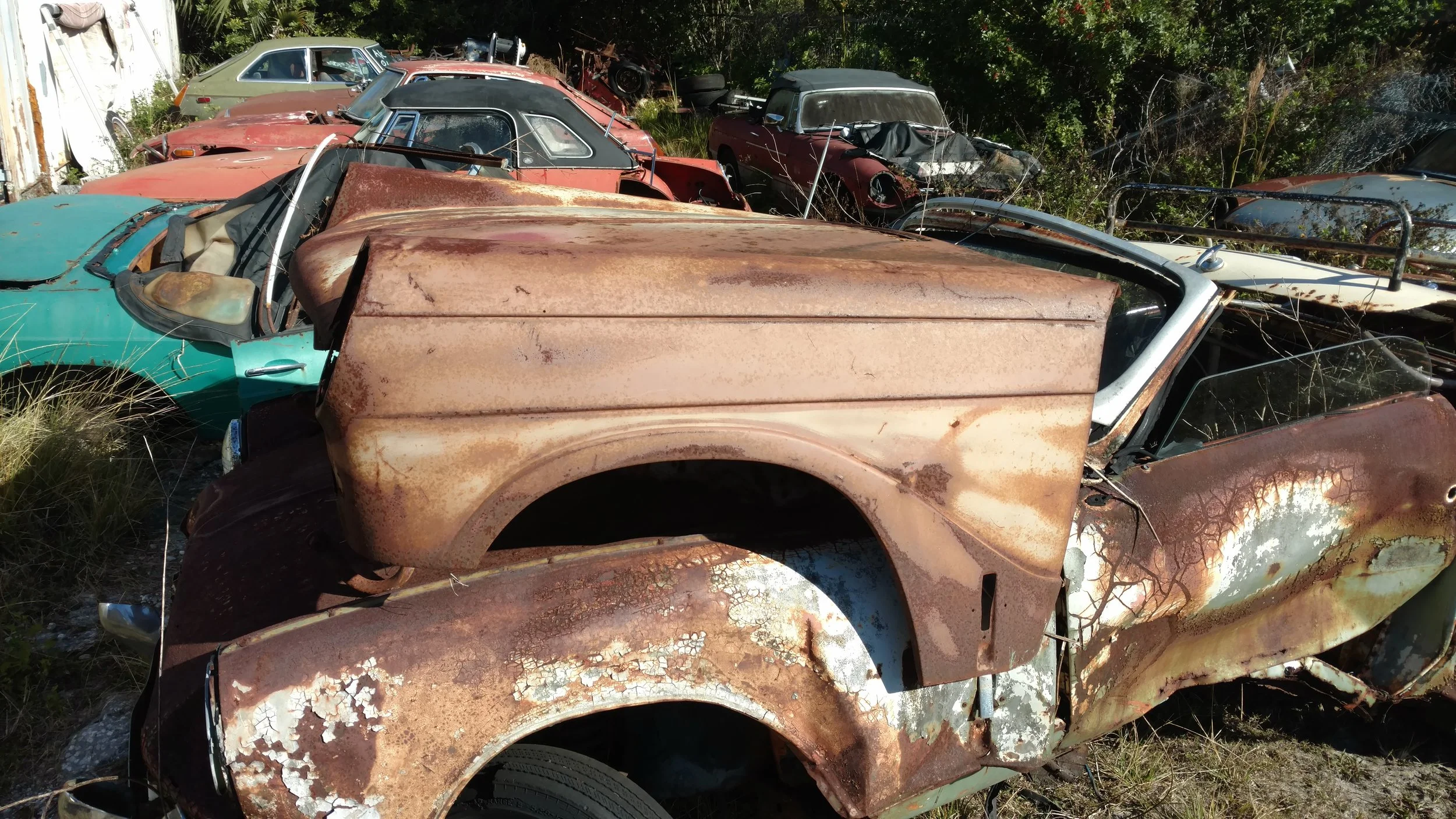 2019-01-17 10.21.52.jpg