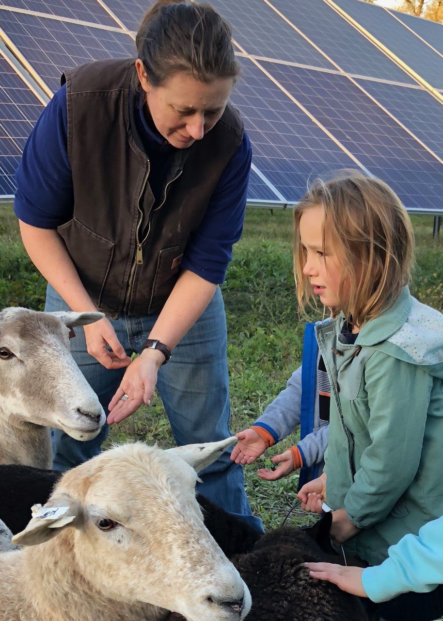 Lexie Hain, Agrivoltaic Solutions, Executive Director of American Solar Grazing Association