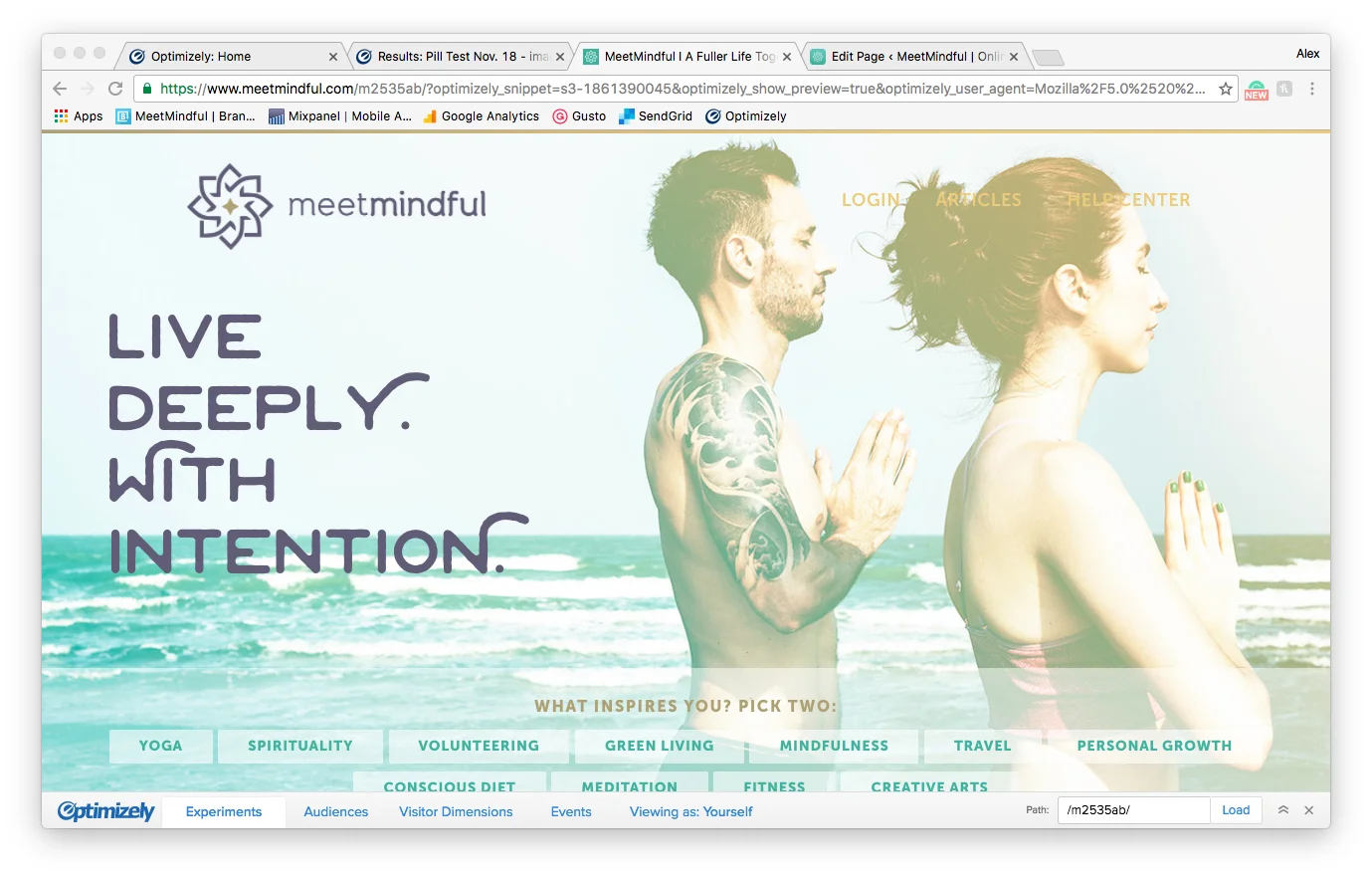 Landing page example.jpg