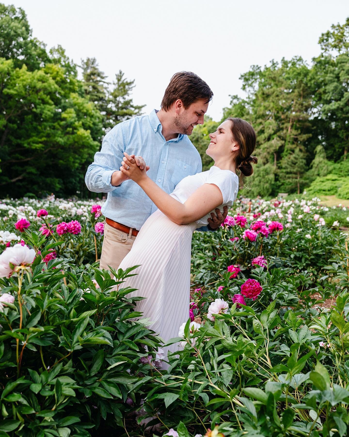 Just delivered recent engagement shoot in @matthaeinichols of Molly and Colby swimming in the sea of summer flowers #annarborphotographer #annarborengagement #nicholsarboretumpeonygarden #peonies
