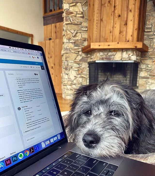 wfh setup with @toddthedood