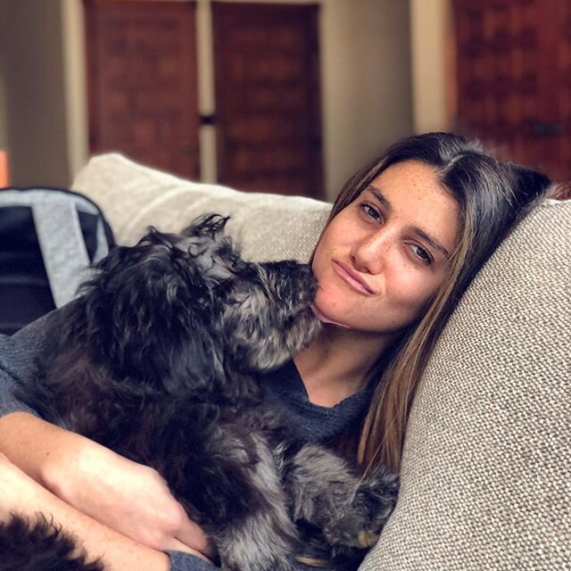 sundays with @toddthedood 
#goldendoodle #goldendoodlesofinstagram #rescuedog