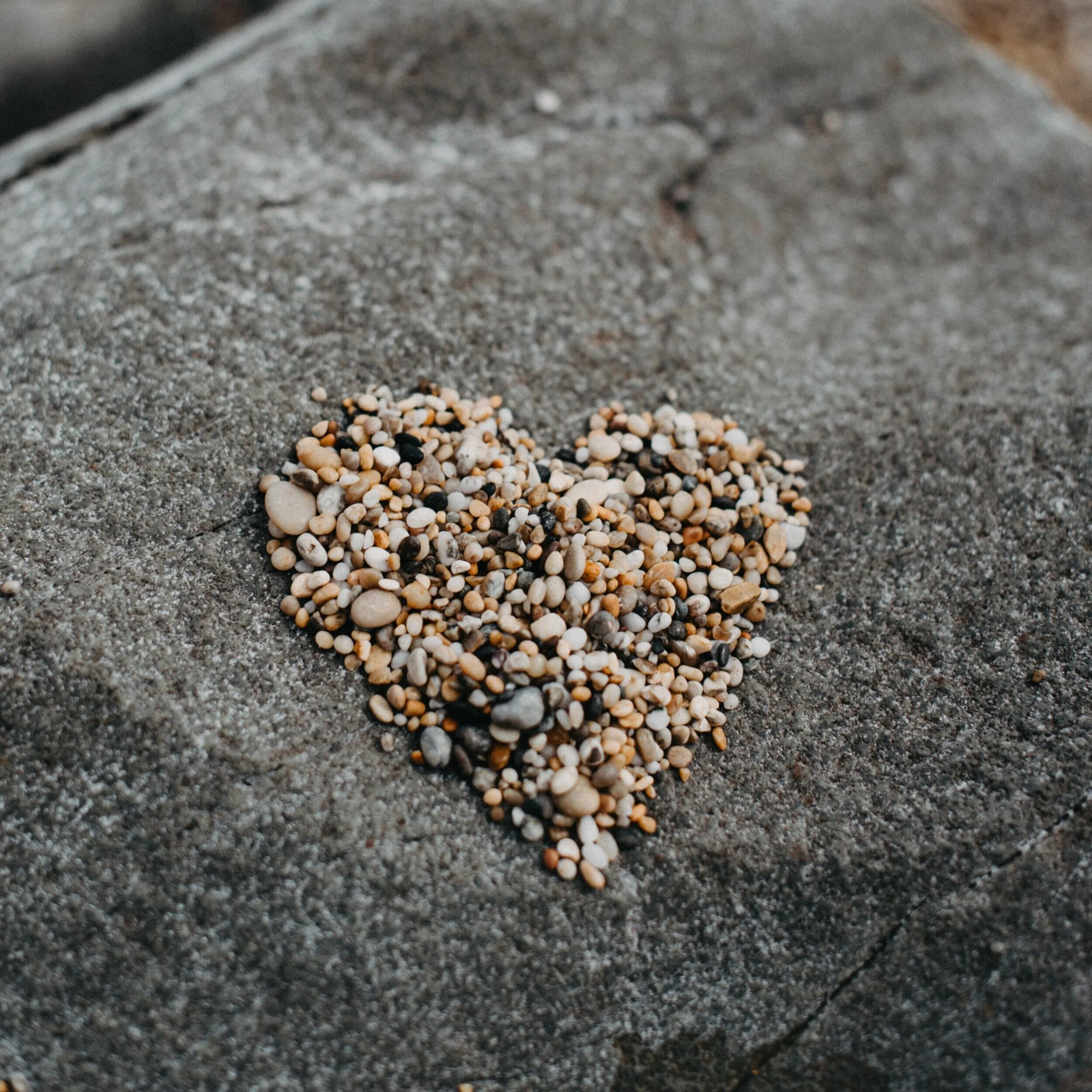 Photo by Anita Austvika on Unsplash