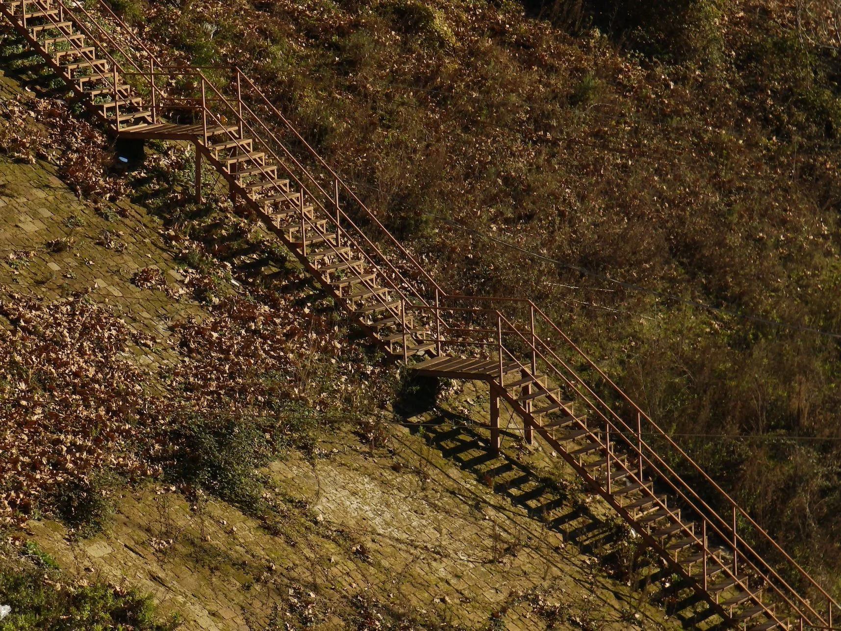 PC300651.JPG