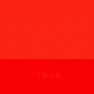 Solange - True.jpg.gif