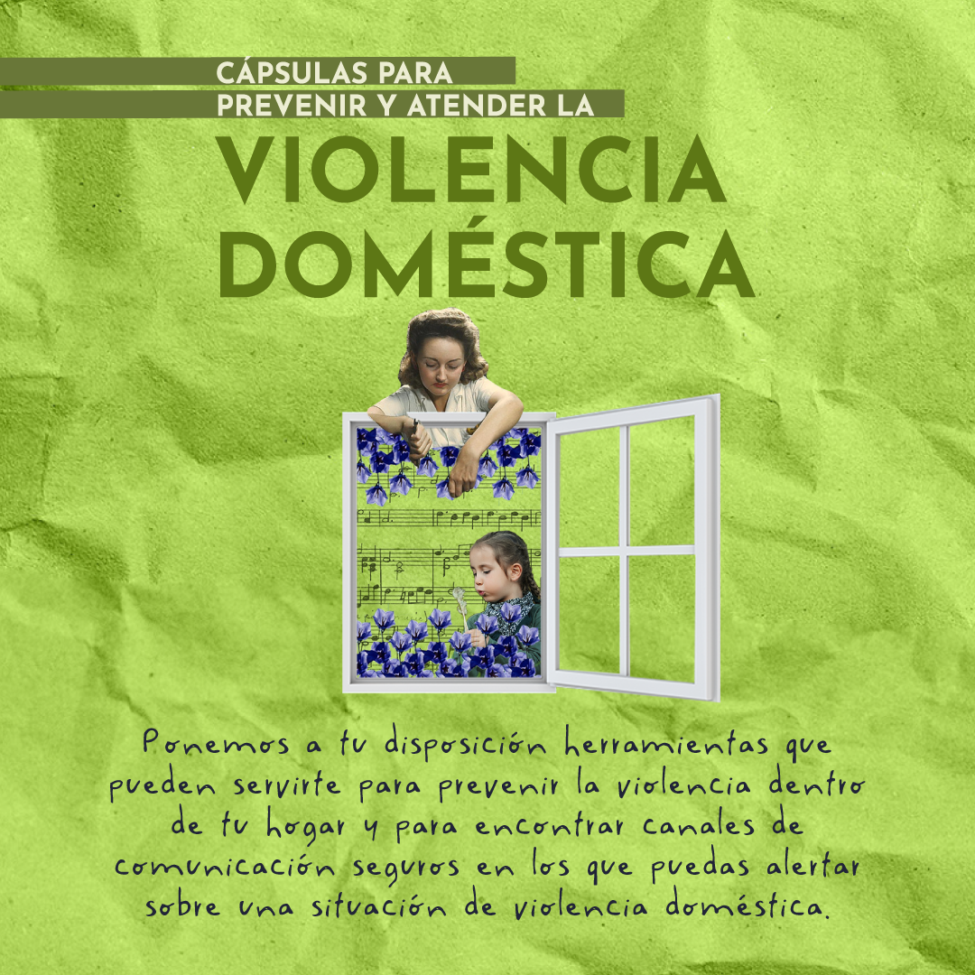 ViolenciaDomestica_general.png