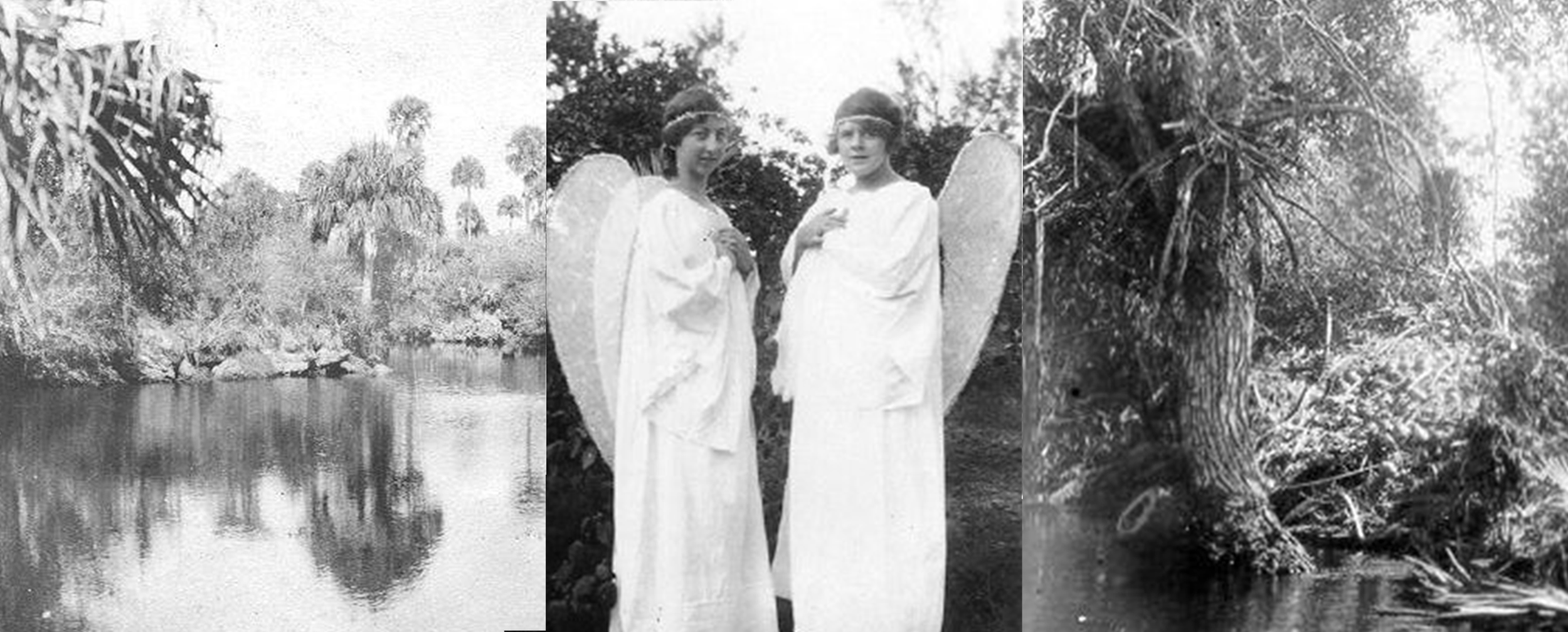 lyric insert back.png