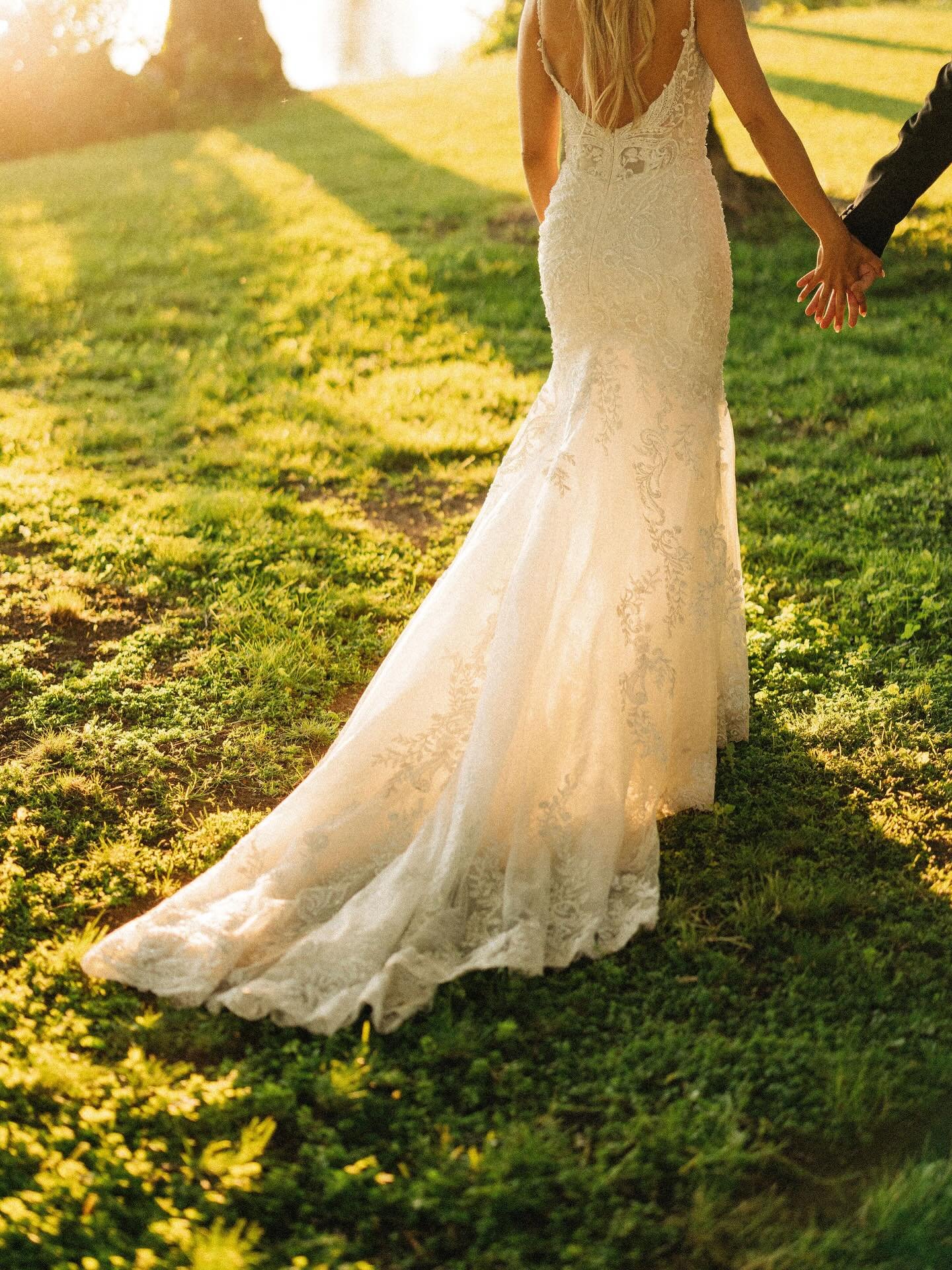 There are moments when stepping away is not just as pause, but a decision.

A decision to create space where there was noise.
To listen more closely to what feels true.
To notice what remains when everything else is quiet.

The past month has been ju