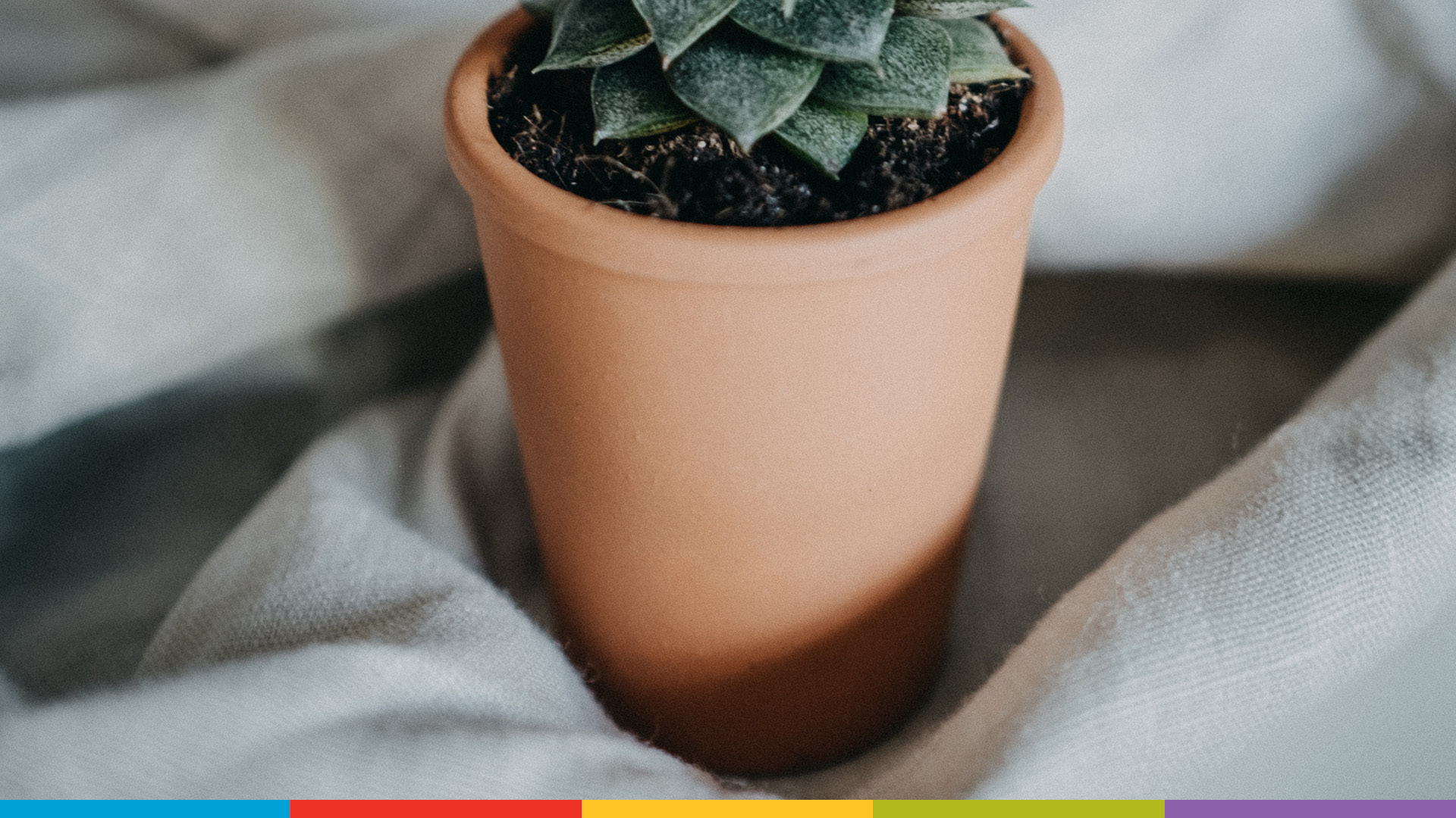 Photo by Annie Spratt on Unsplash