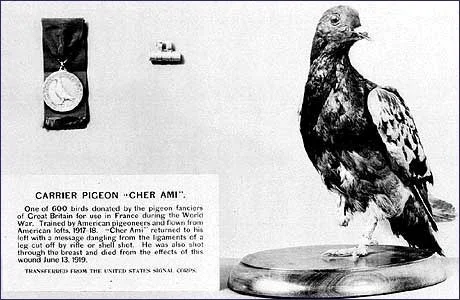 cher ami.jpg