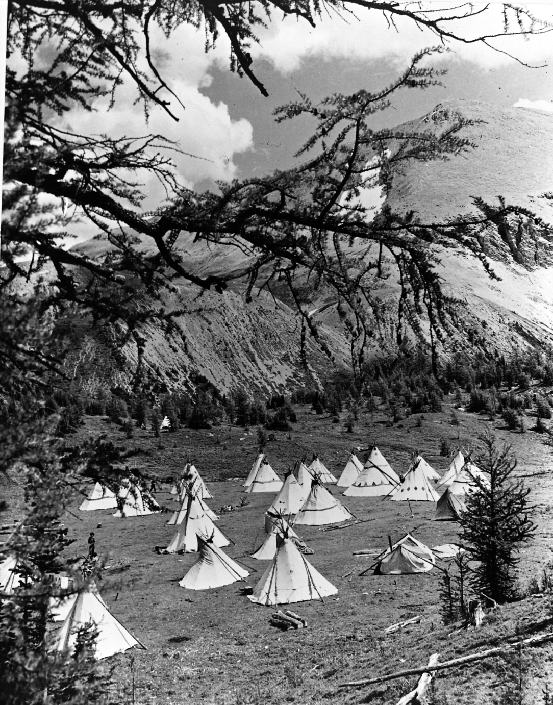 A view of twenty tepees set up in the mountains circa 1938–1972. Photo by William Fruet. Photo courtesy of the Galt Museum & Archives: 20011020474