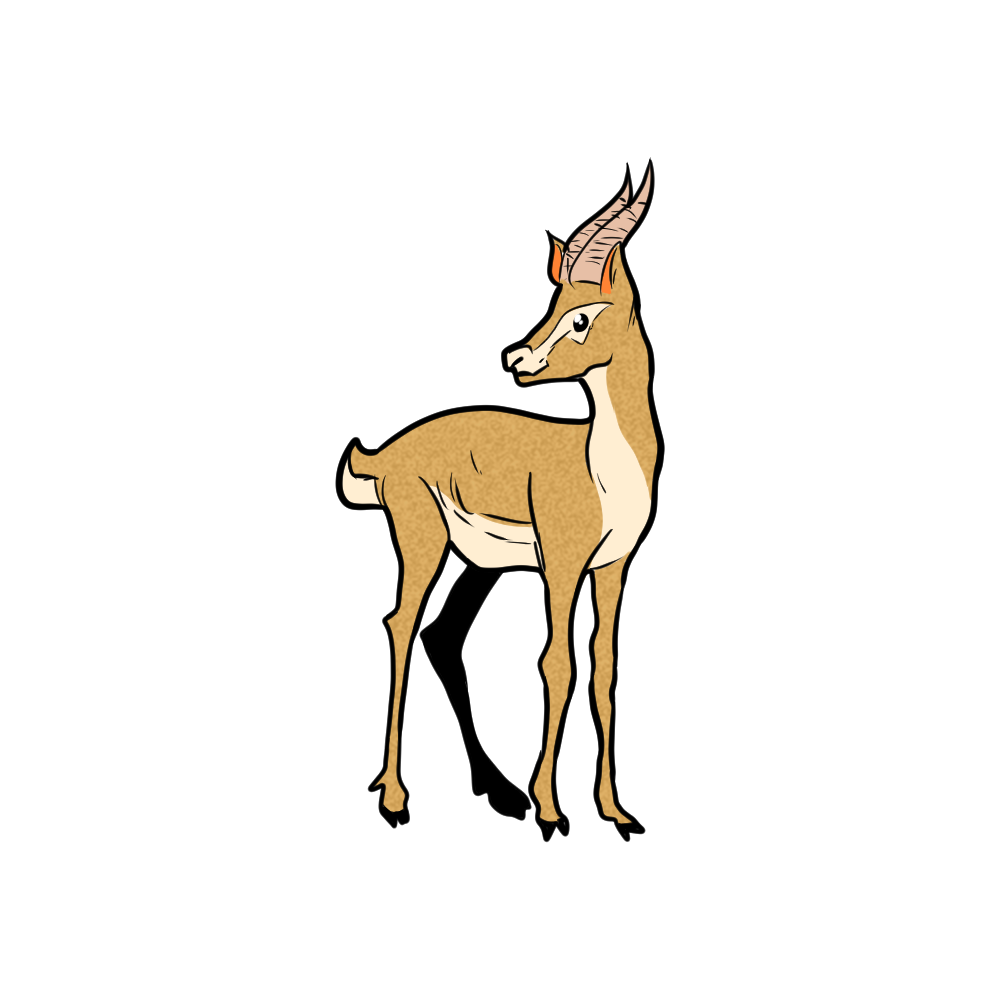 So kia wa ka si: Antelope