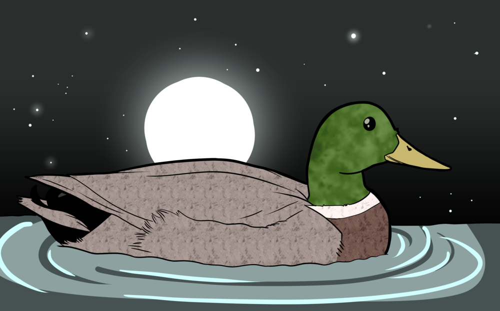 Sa’aiki’soom: March (duck moon)