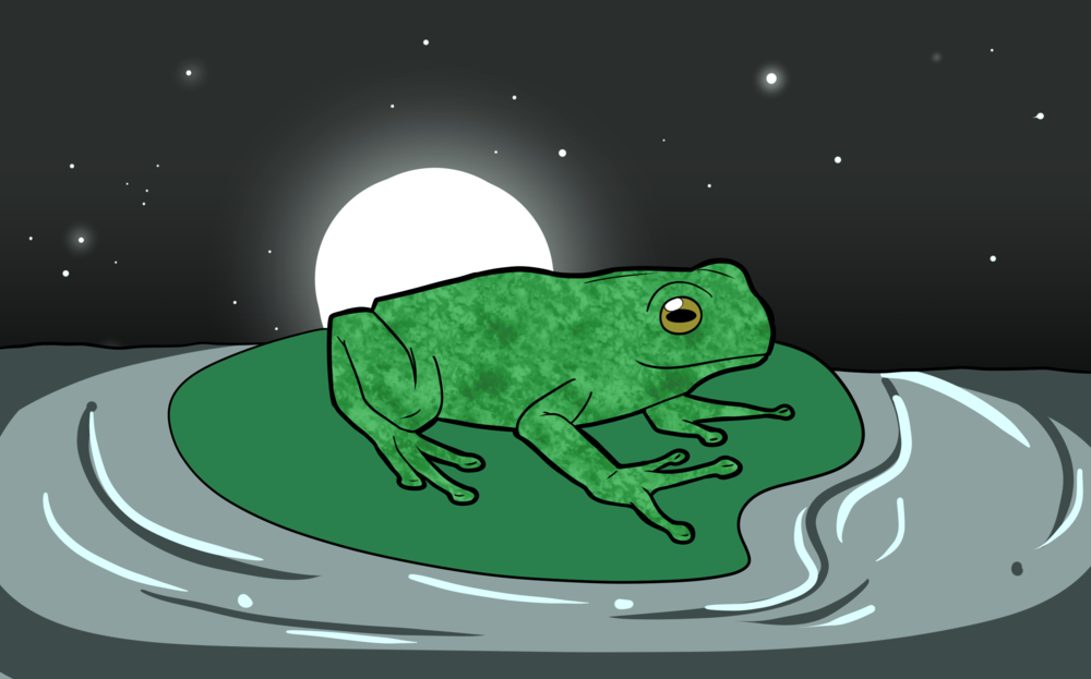 Matsiyikkapisaki’soom: April (frog moon)