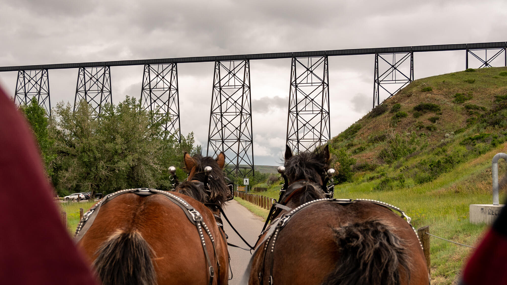 Horse-drawn wagon approaches the High Level Bridge.