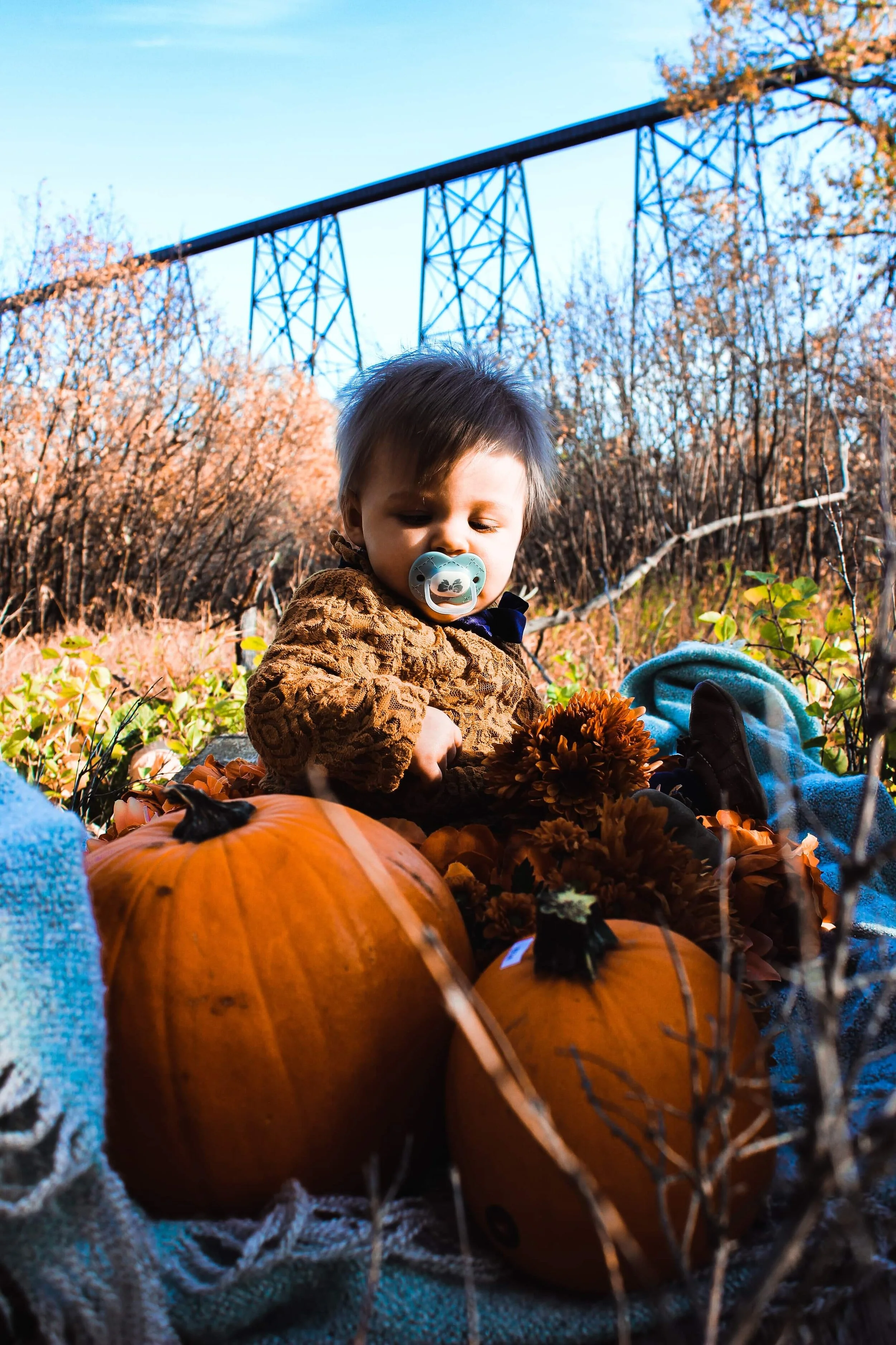 Digital - Danielle Beaver