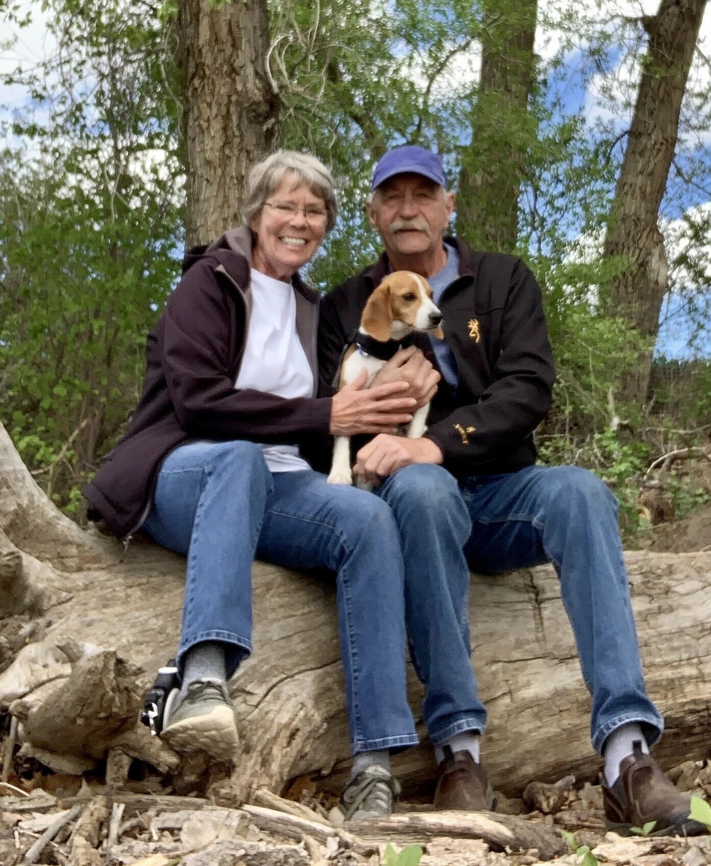 Digital - Susan Lawrence