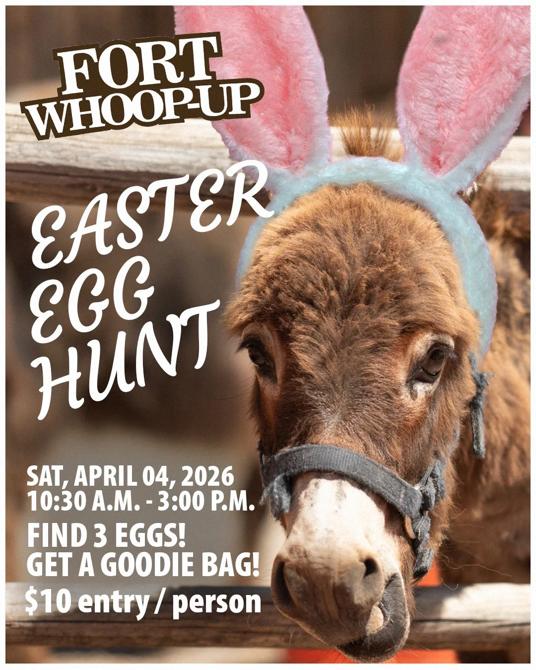 Easter Egg Hunt at The Fort!