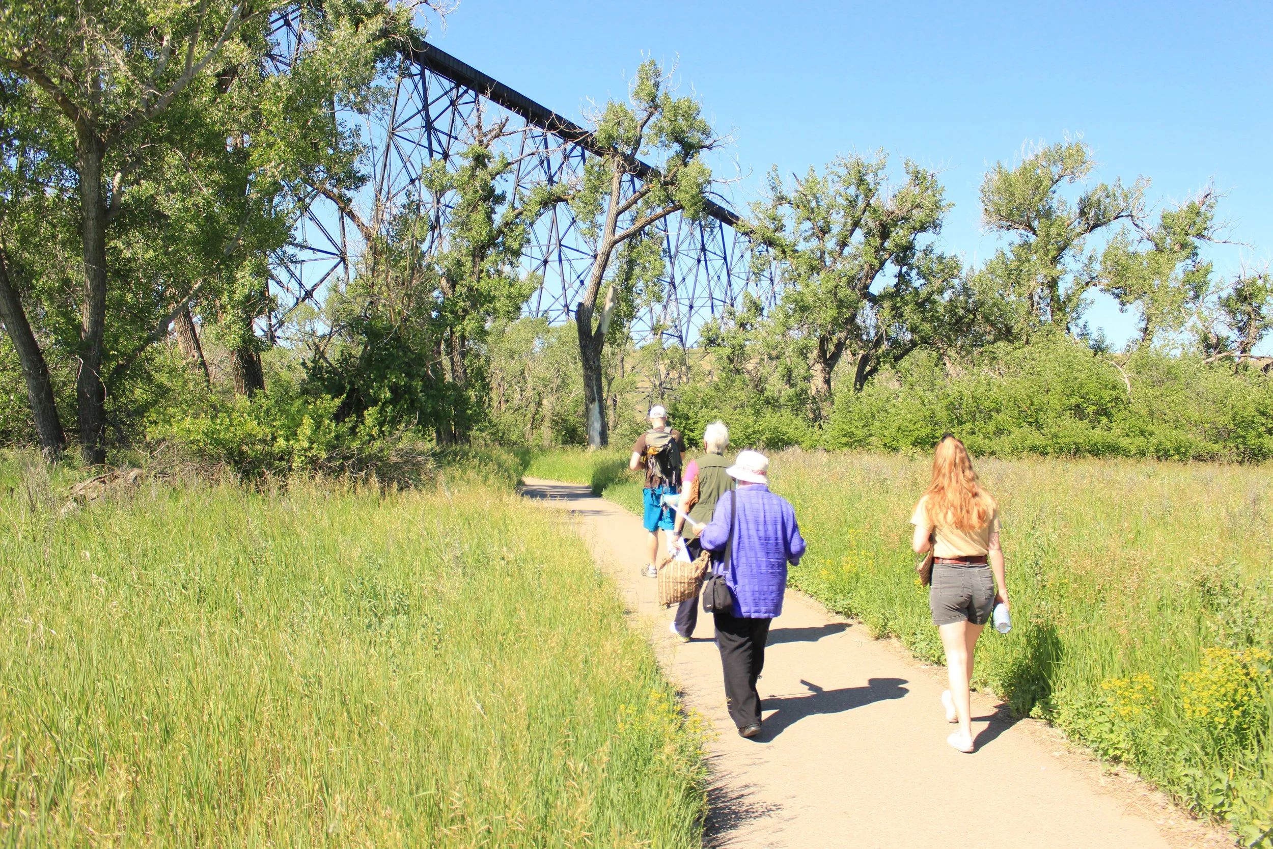 Being with Trees Meditation Walk with Sandra Cowan and Annie Martin