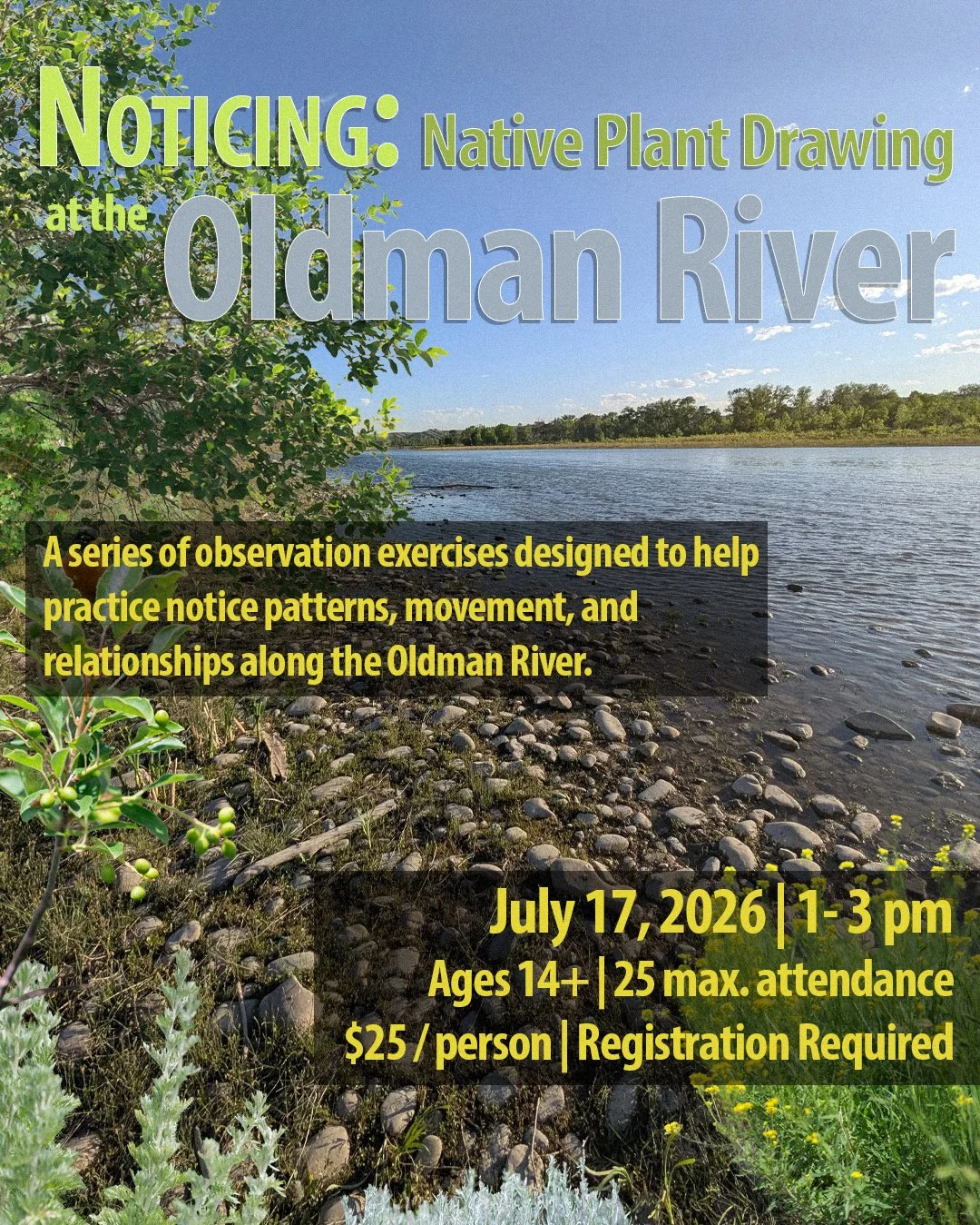 Noticing: Building Observational Capacity by Drawing Native Plants along the Oldman River
