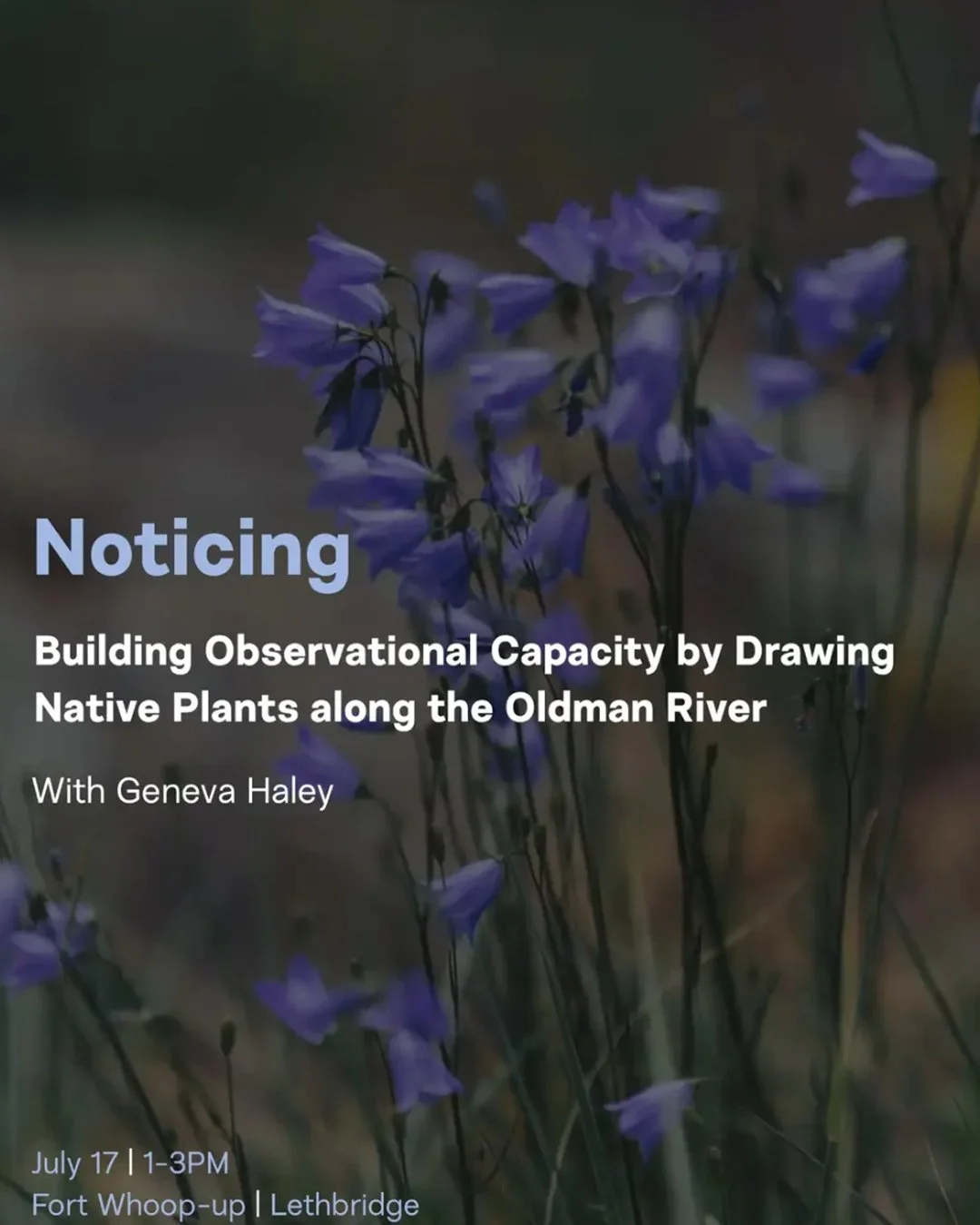 Noticing: Building Observational Capacity by Drawing Native Plants along the Oldman River w Geneva Haley of Pasture Land Illustraion