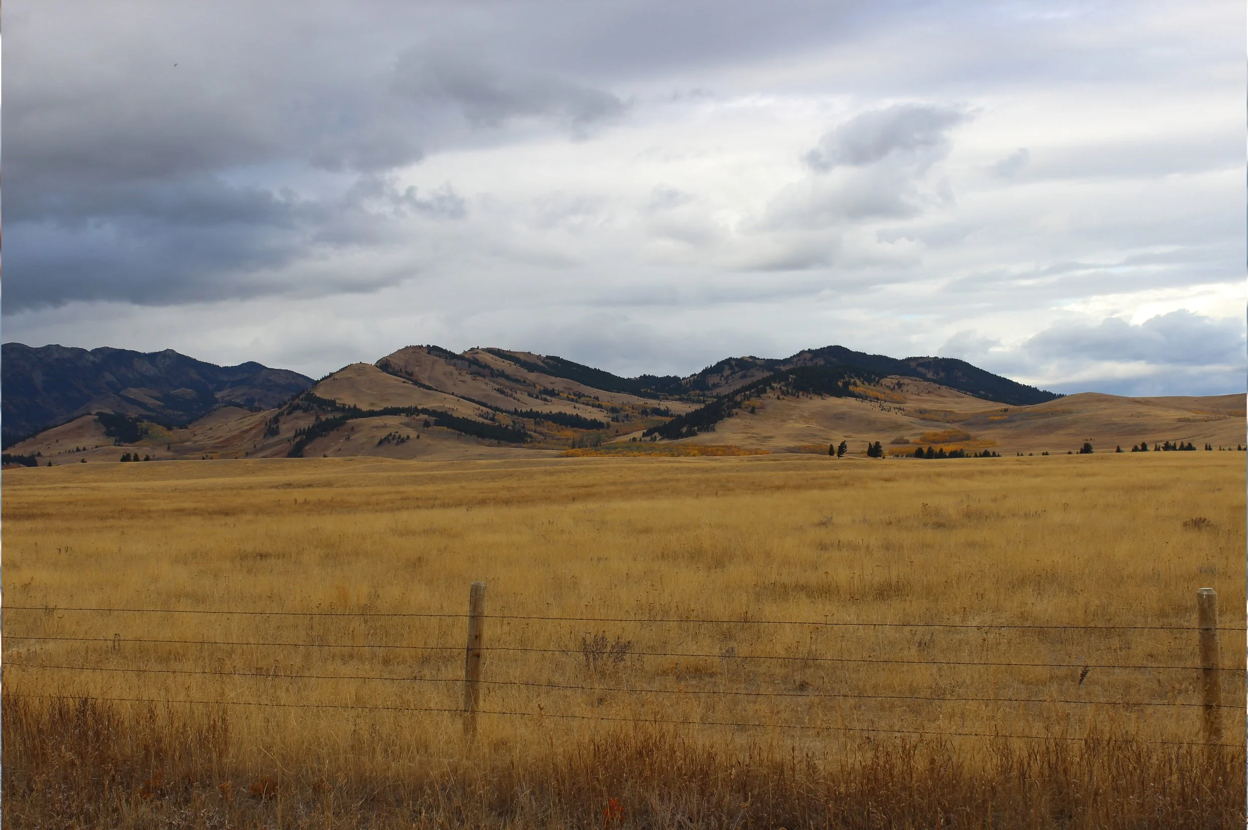 Napi Landscape Mother Tongue session: Napiootsisti kowanhpi (Napi’s Playground) — Galt ...