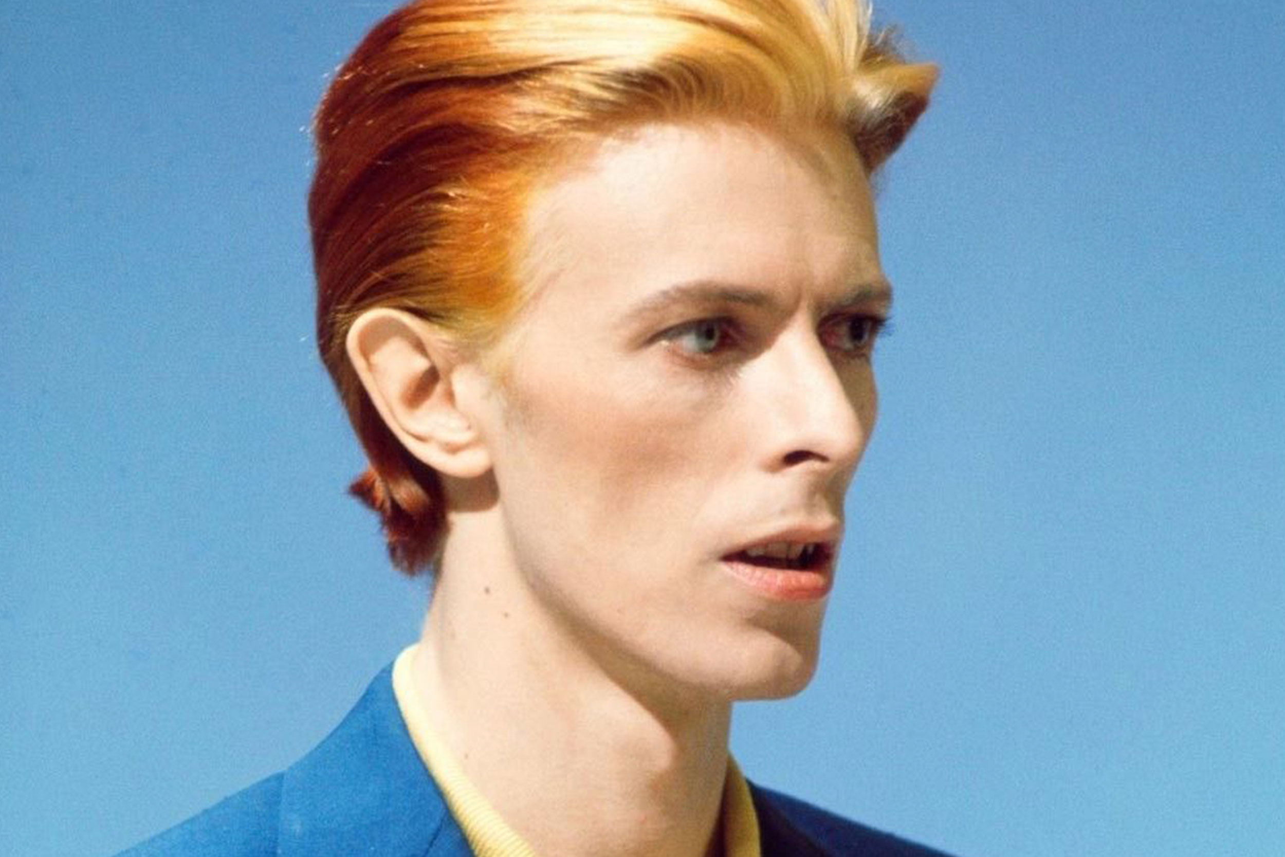 Bowie-Slideshow-open.jpg