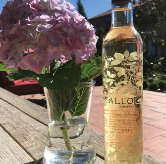WineBuzz-AlloraVineyar.jpg
