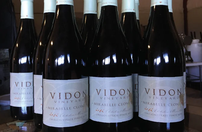 WineBuzz-VidonVineyards.jpg