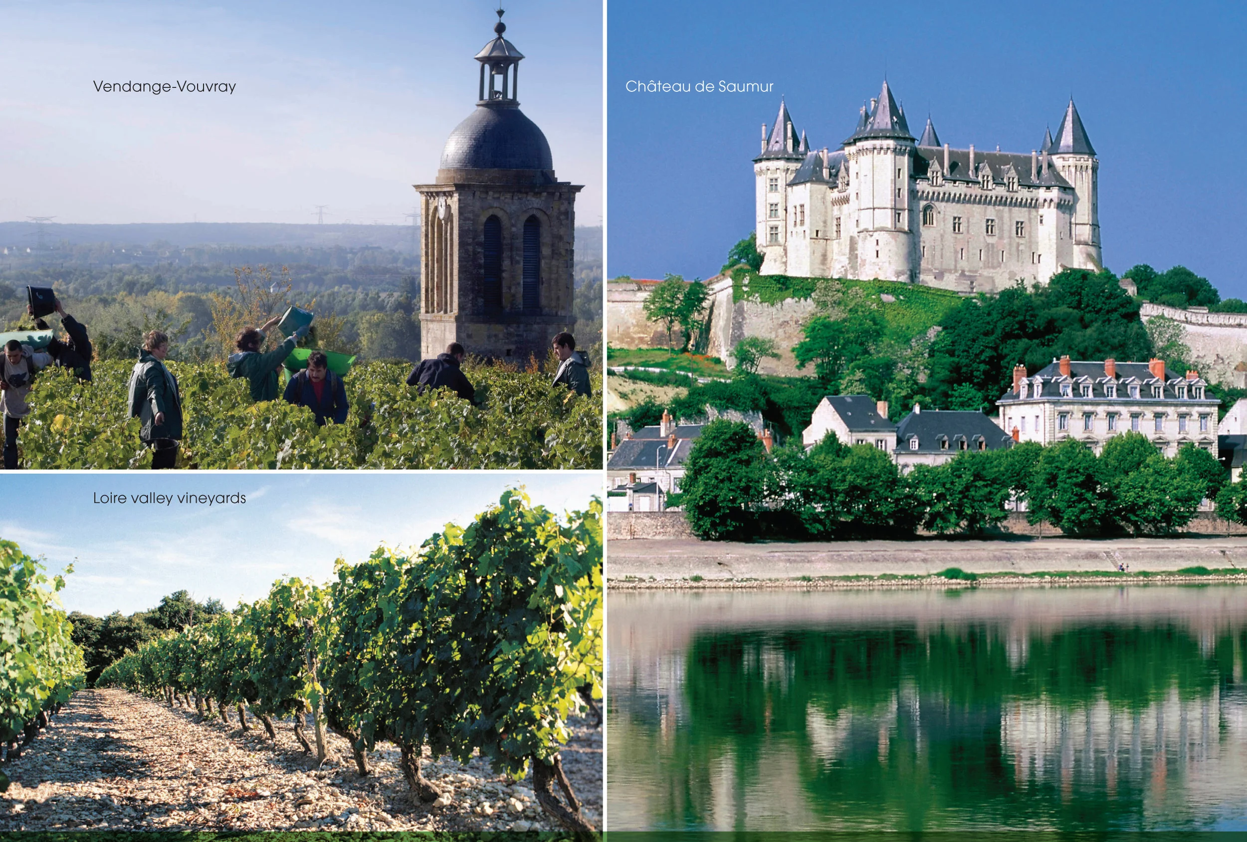 WineBuzz-2.jpg