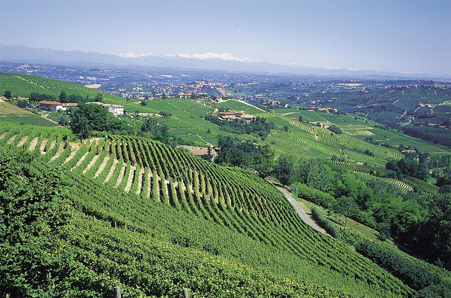 Langhe-TurismoTorino(c).jpg