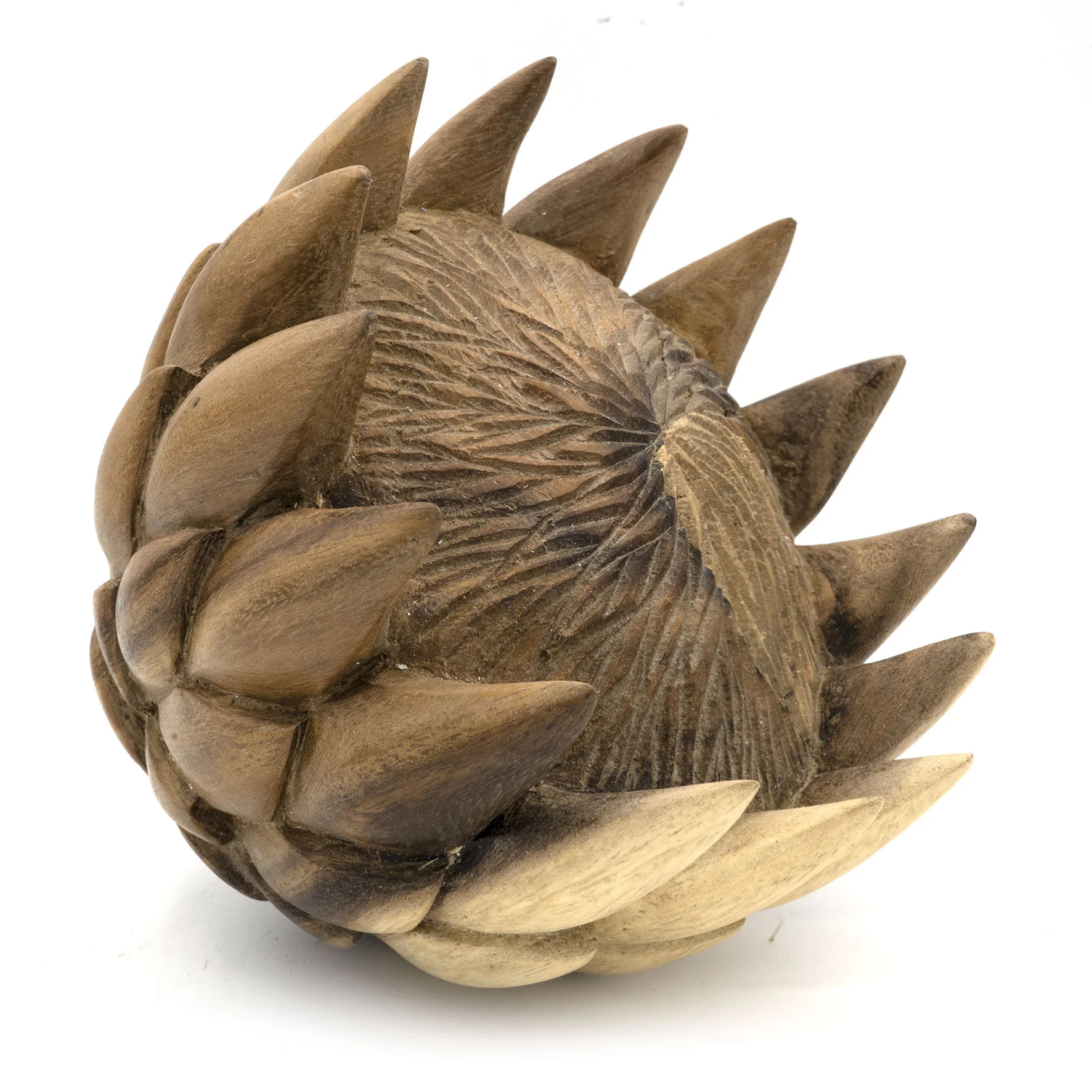 Protea (WCA-064) R00.00