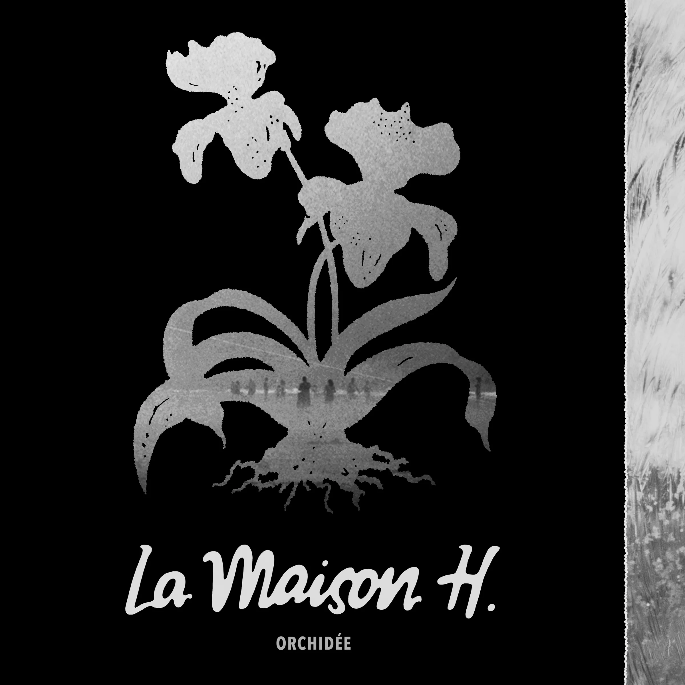 LMH-cover-2400.jpg