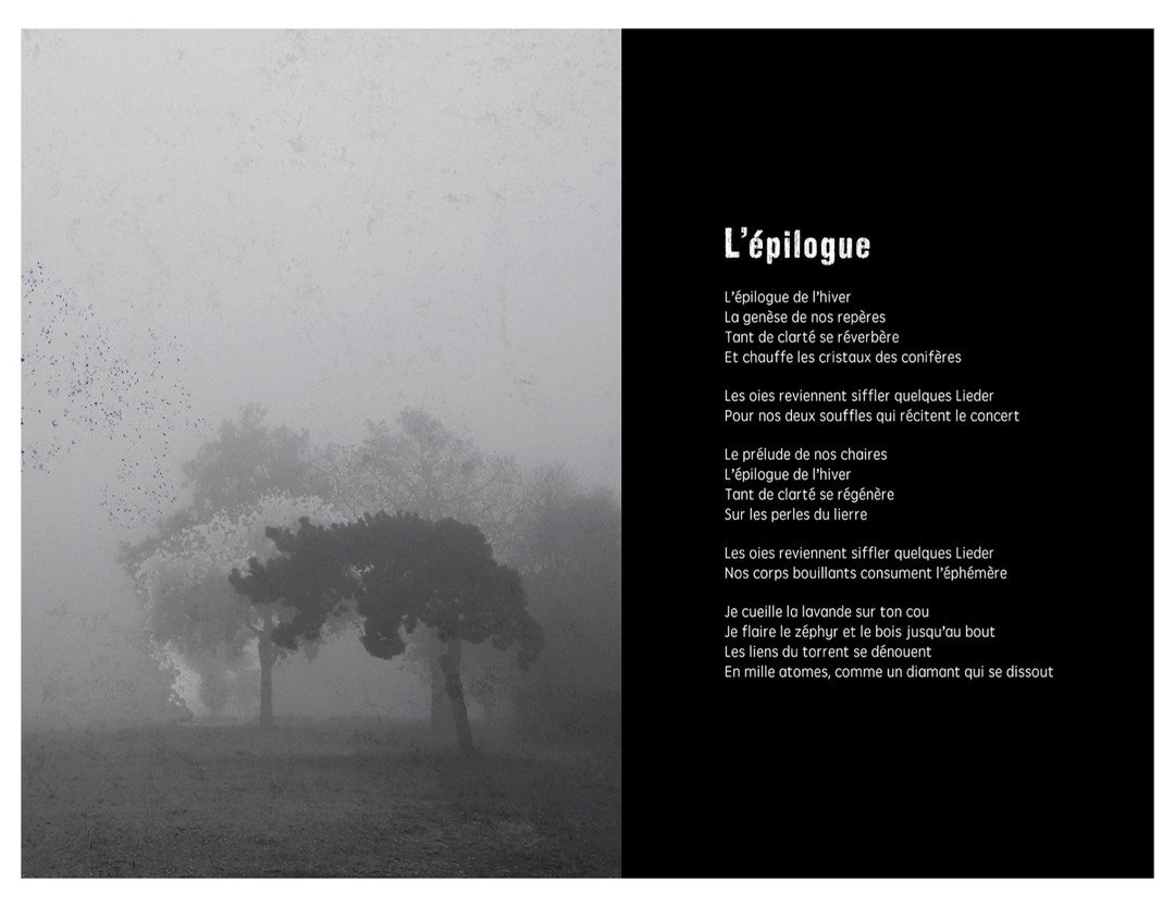 Le 28 f&eacute;vrier dernier, nous avons sorti le deuxi&egrave;me disque de La Maison H. 
Merci beaucoup pour vos nombreux commentaires et appr&eacute;ciations!

Nous vous pr&eacute;sentons ici la chanson qui a donn&eacute; le titre &agrave; l'album.