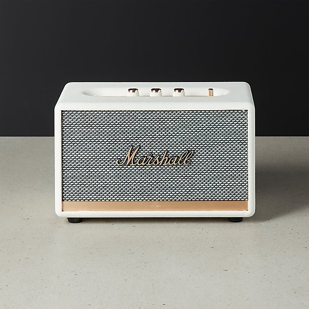 BLUE TOOTH SPEAKER (Copy)