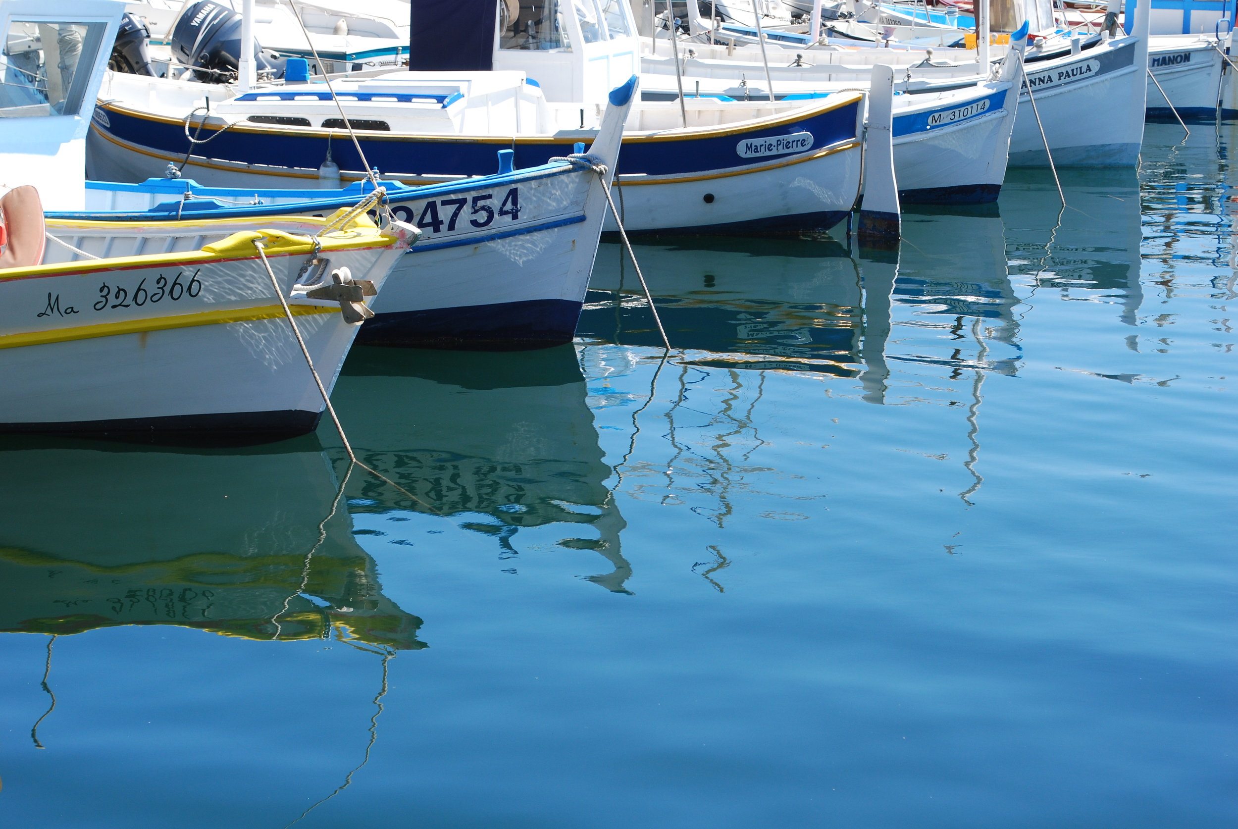 DSC_3842.JPG